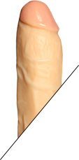 pen